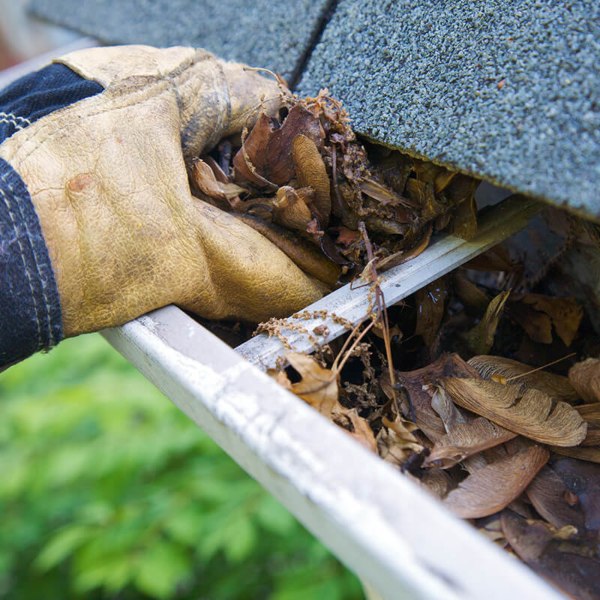 Premium Rain Gutter Leaf Guard from Rain Gutter Medic in Salt Lake City, UT